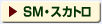 SM�E�X�J�g��