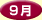 �A�C�h���V��9��